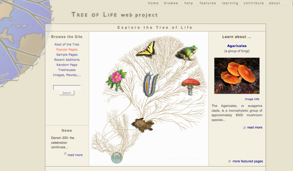 Evolution, Trees, and Younger Audiences Smithsonian
